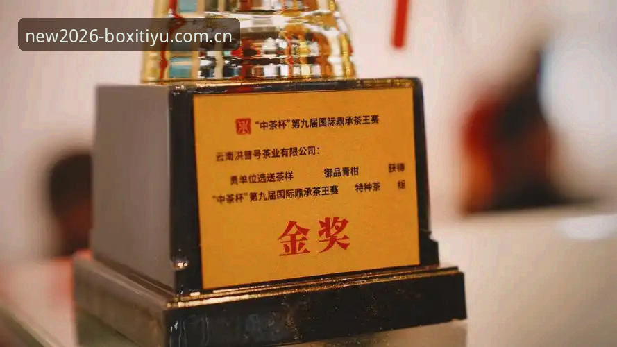 博喜体育资质教程深度分析：从入门到精通的全方位指南